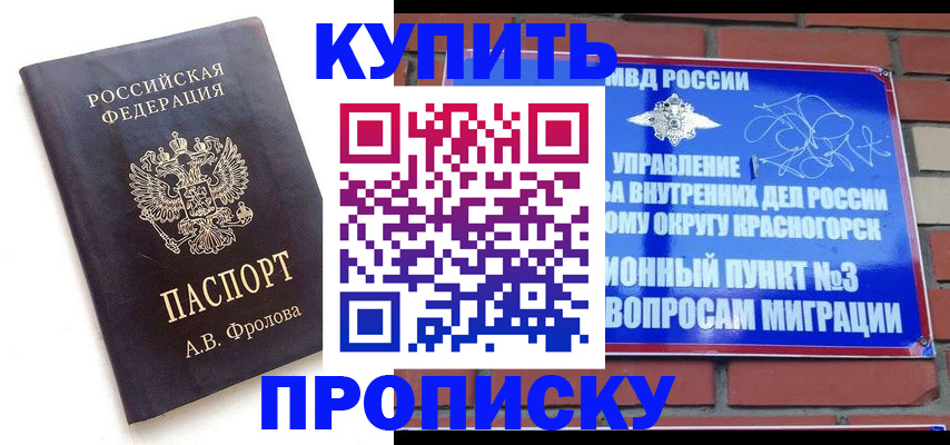 прописка поиск в Коркино